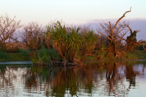 IMG_1764