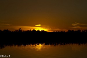 IMG_1768