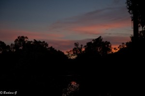 IMG_1776
