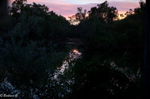 IMG_1779