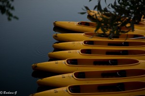 IMG_1782