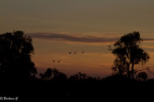 IMG_1791