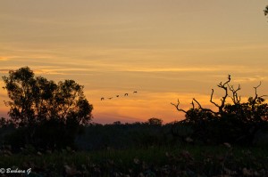 IMG_1793