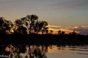 IMG_1798