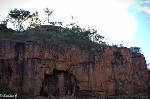 IMG_1841