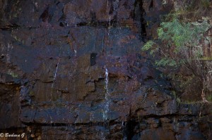 IMG_1892