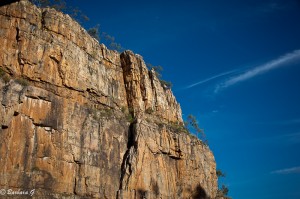 IMG_1932