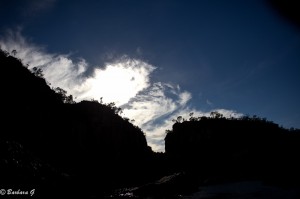 IMG_1950