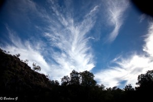 IMG_1962
