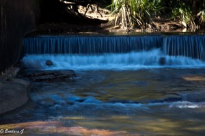 IMG_2012