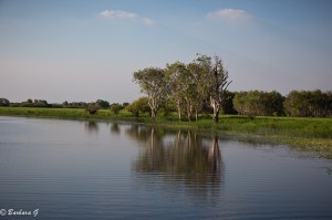 IMG_2234