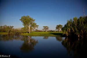 IMG_2317