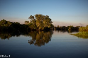 IMG_2417