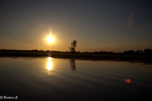 IMG_2432