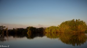 IMG_2433