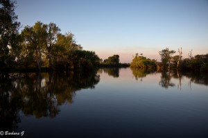 IMG_2439