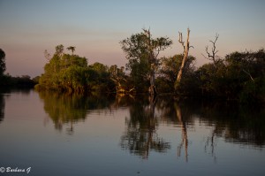 IMG_2440