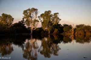 IMG_2473