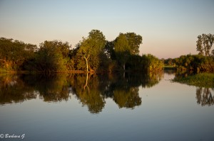 IMG_2479