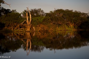 IMG_2480