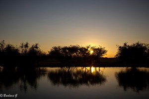 IMG_2509