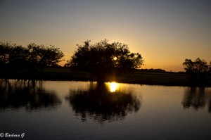 IMG_2512