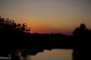 IMG_2542