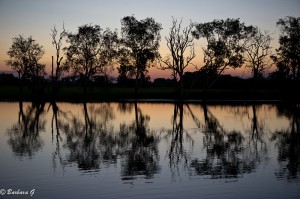 IMG_2555
