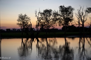 IMG_2557