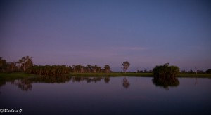 IMG_2575
