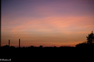 IMG_2576