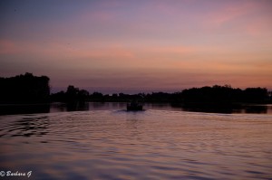 IMG_2579