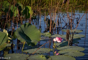 IMG_2673