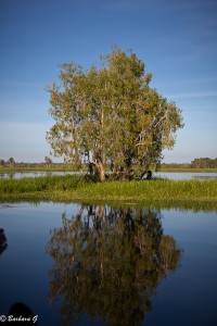 IMG_2681