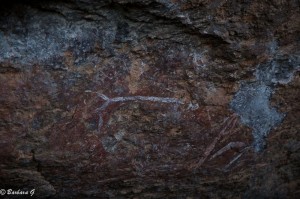 IMG_2720