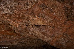 IMG_2728
