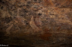 IMG_2735