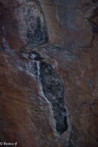 IMG_2762