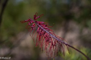 IMG_2780