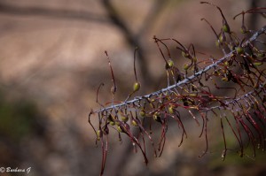 IMG_2784