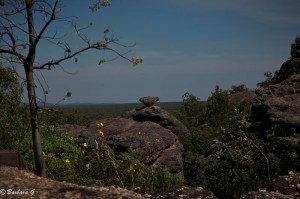 IMG_2796