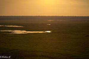IMG_2847