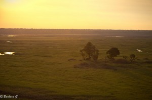 IMG_2857