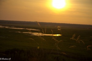 IMG_2863