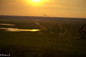 IMG_2875