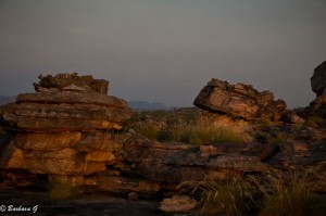 IMG_2880