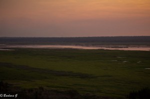 IMG_2893