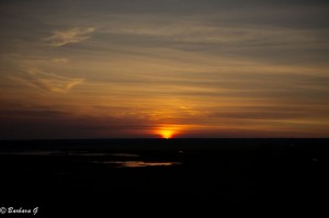IMG_2913