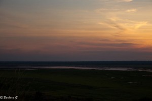 IMG_2919
