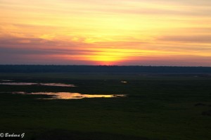 IMG_2925